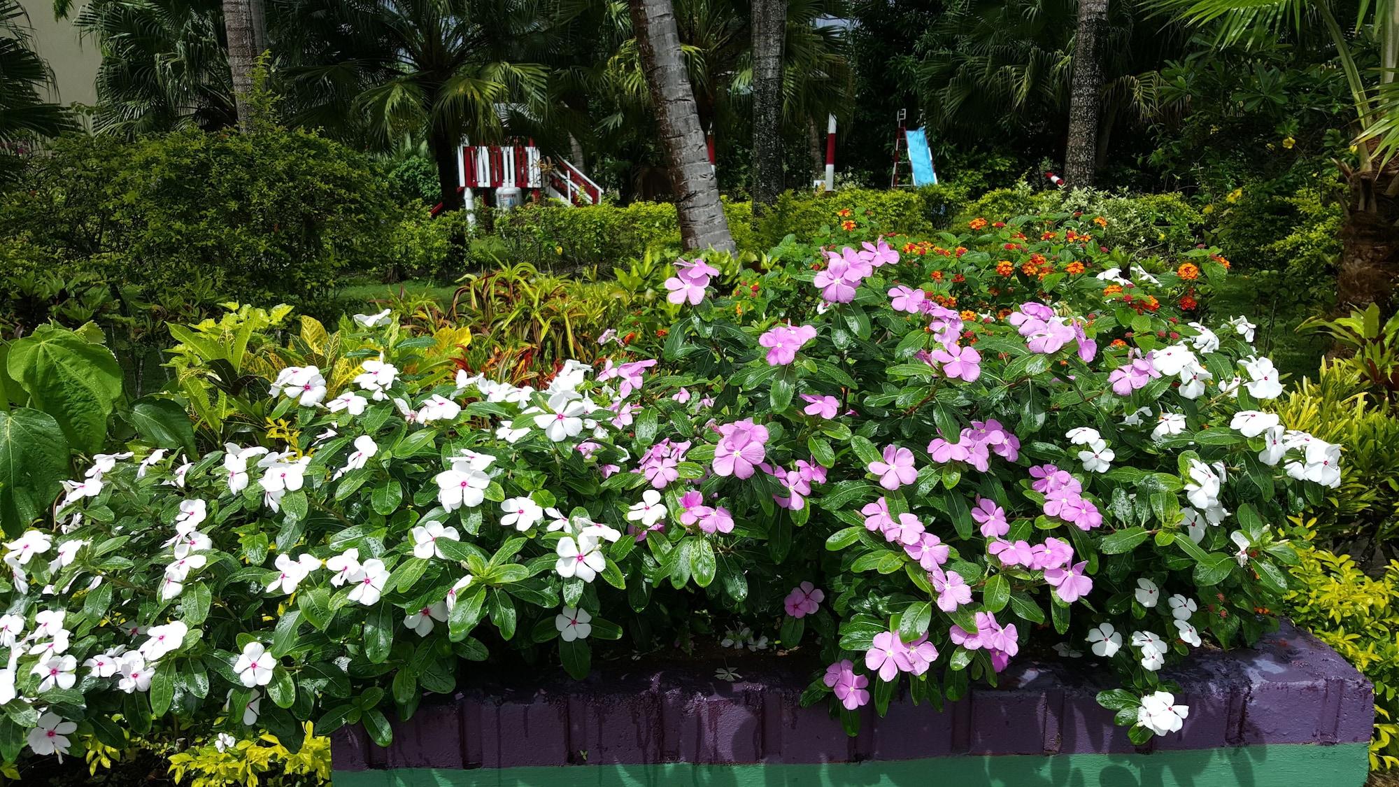 Grand West Villas Nadi Zewnętrze zdjęcie